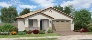Atlas Peak - Silverado at Escalante: Surprise, Arizona - Fulton Homes