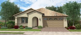 Paraduxx - Silverado at Escalante: Surprise, Arizona - Fulton Homes