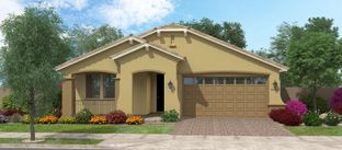 Paraduxx - Silverado at Escalante: Surprise, Arizona - Fulton Homes