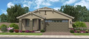 Evangeline - Calistoga at Promenade: San Tan Valley, Arizona - Fulton Homes