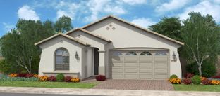 Amorosa - Calistoga at Promenade: San Tan Valley, Arizona - Fulton Homes