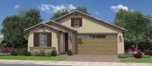 3266 W Molino Rd (Amorosa)