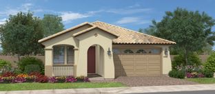 Arroyo - Calistoga at Promenade: San Tan Valley, Arizona - Fulton Homes