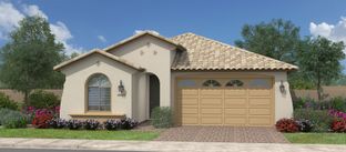 Fairwinds - Calistoga at Promenade: San Tan Valley, Arizona - Fulton Homes