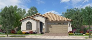 Calpella - Redwood Valley at Escalante: Surprise, Arizona - Fulton Homes