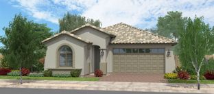 Oracle Oaks - Redwood Valley at Prasada: Surprise, Arizona - Fulton Homes