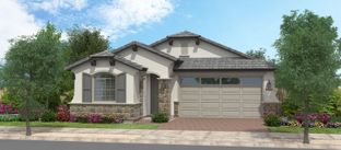 Oracle Oaks - Redwood Valley at Prasada: Surprise, Arizona - Fulton Homes