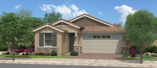 Oracle Oaks - Redwood Valley at Prasada: Surprise, Arizona - Fulton Homes