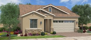 Lassen - Cascades at Prasada: Surprise, Arizona - Fulton Homes
