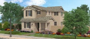 Doyle Peak - San Francisco at Prasada: Surprise, Arizona - Fulton Homes