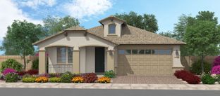 Stags Leap - Silverado at Enclave: Litchfield Park, Arizona - Fulton Homes