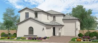 Westport - North Shore at Enclave: Litchfield Park, Arizona - Fulton Homes