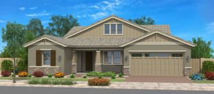 Strawberry - Fields at Barney Farms: Queen Creek, Arizona - Fulton Homes