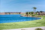 Groves at Barney Farms - Queen Creek, AZ