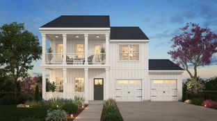 Ian P - Homecoming: Ravenel, South Carolina - True Homes