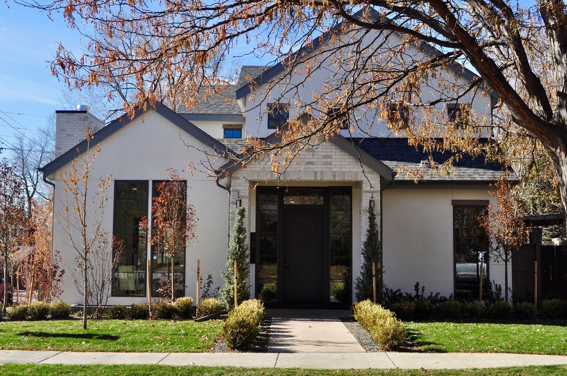 303 Development Design. Build.,80210