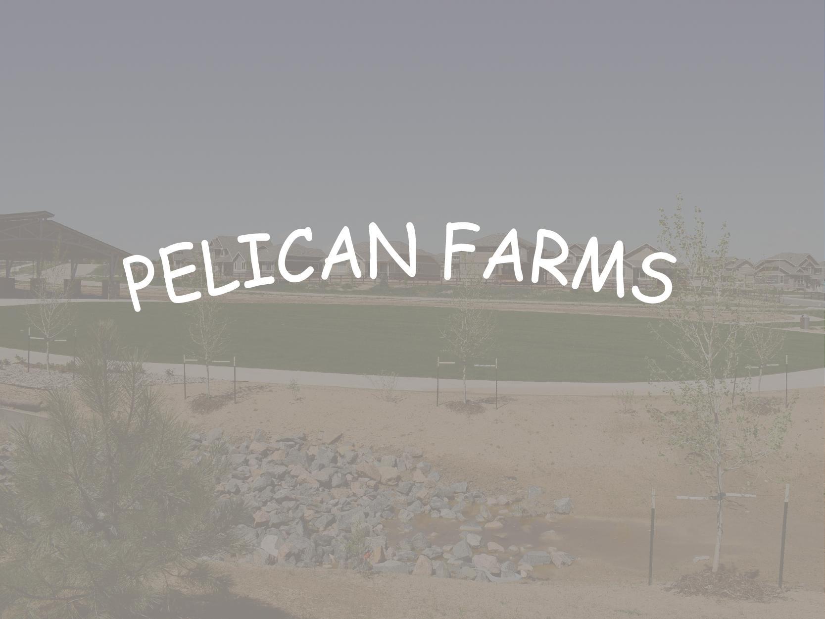 PelicanFarms-01