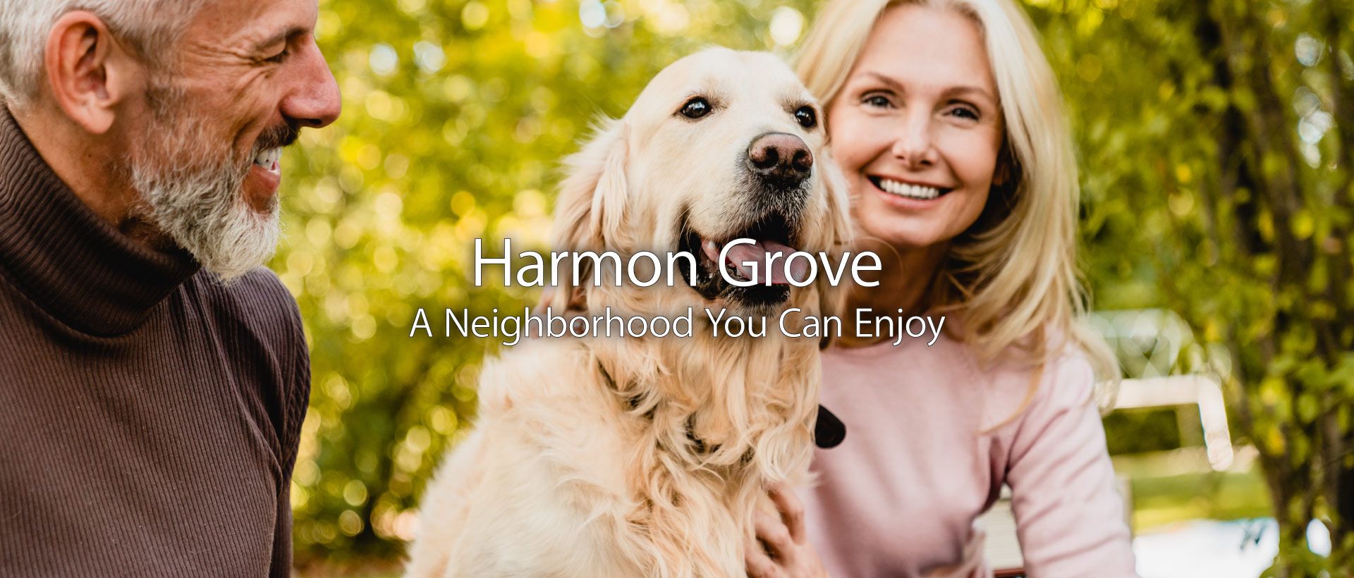 Harmon Grove,12309
