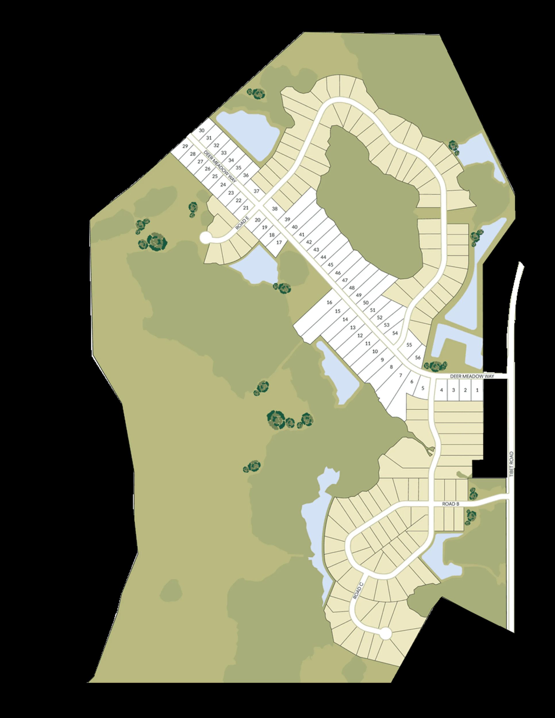 Tibet Road At Sassafras,31301