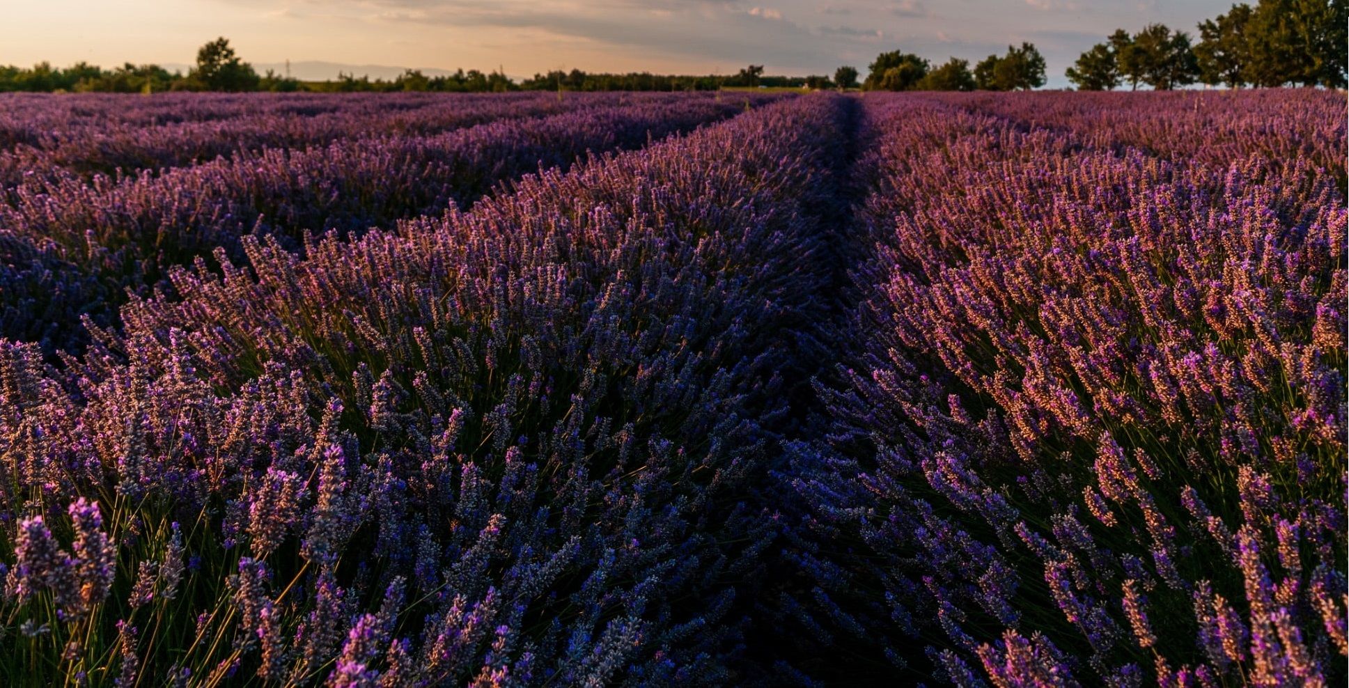 Where Life Grows Abundant,75024