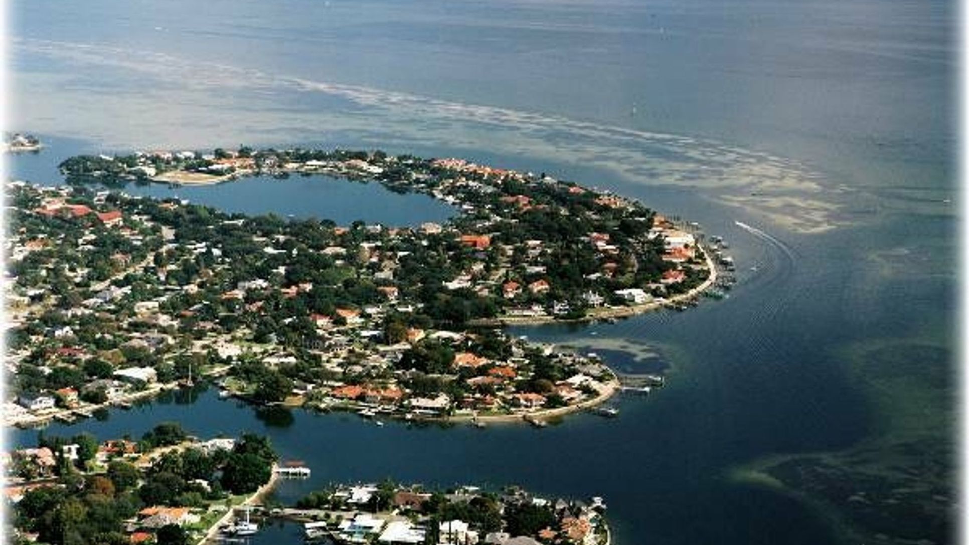 Snell Isles,33704