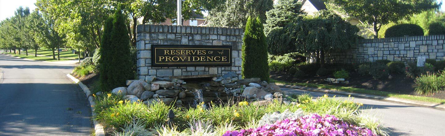 The Reserves Of Providence,45069