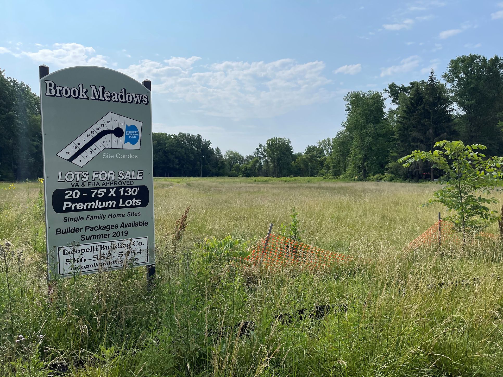 Brooke Meadows,48047