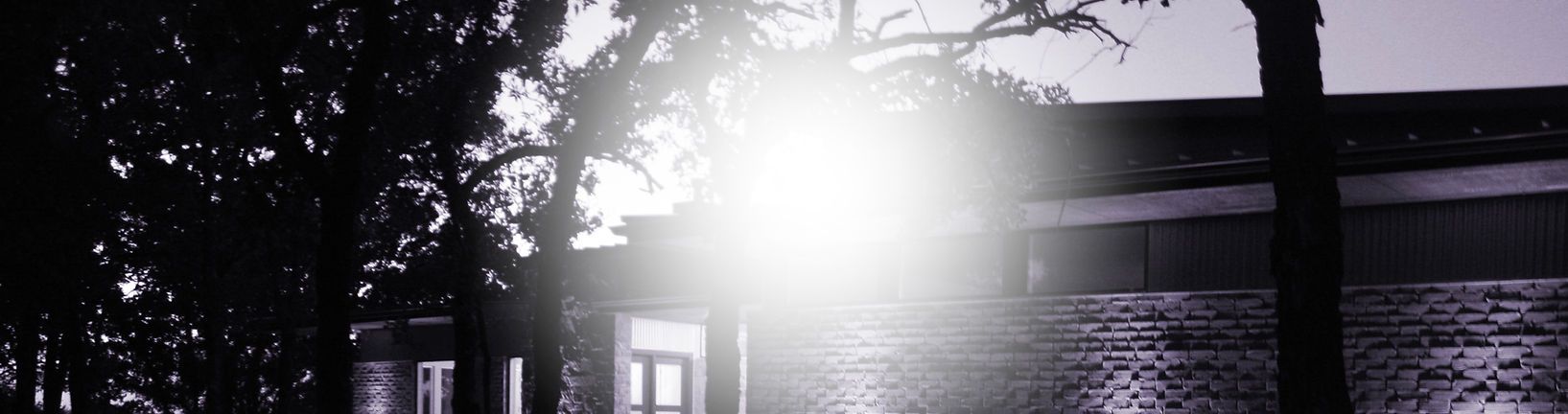 Paradise Crossing,76073