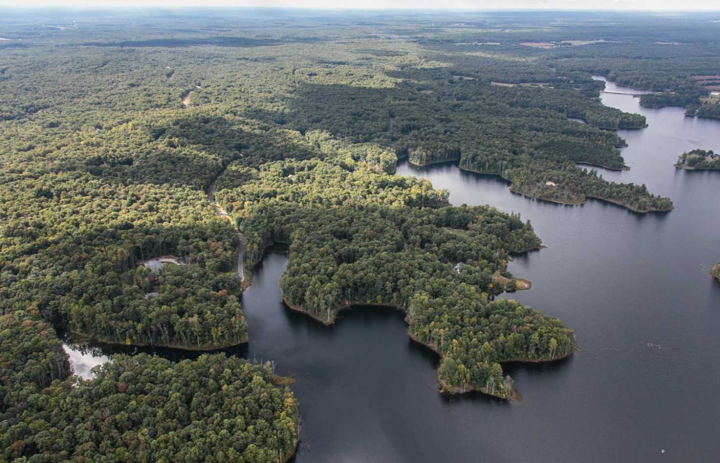 Mineral Springs Plantation,22407