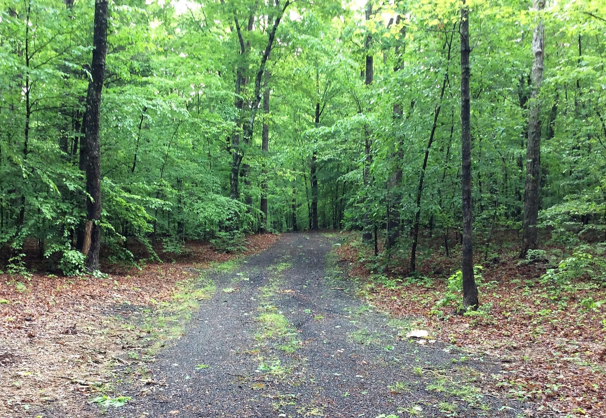 Fitzhugh’s Bluff,22407