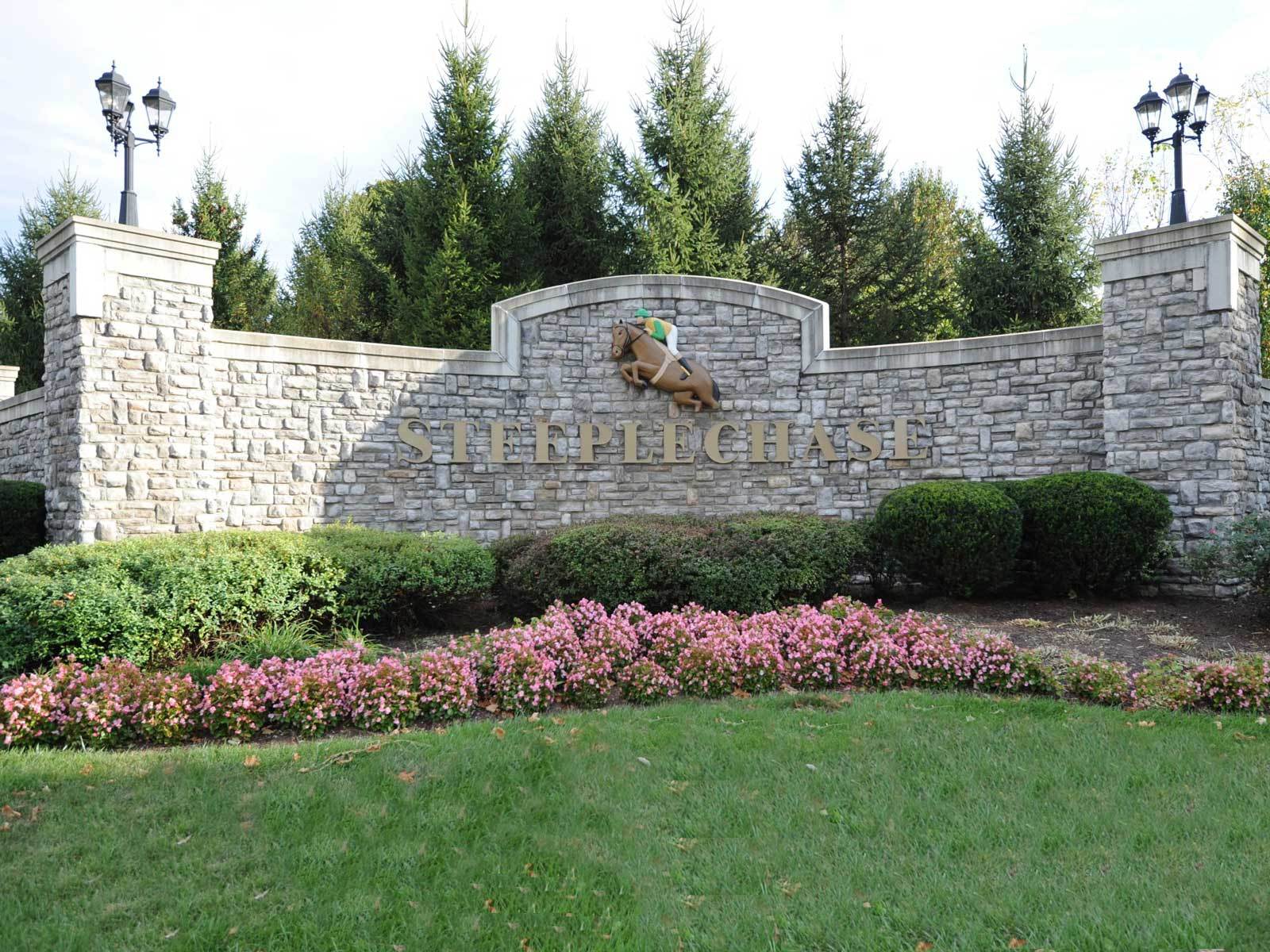 Steeplechase,41094