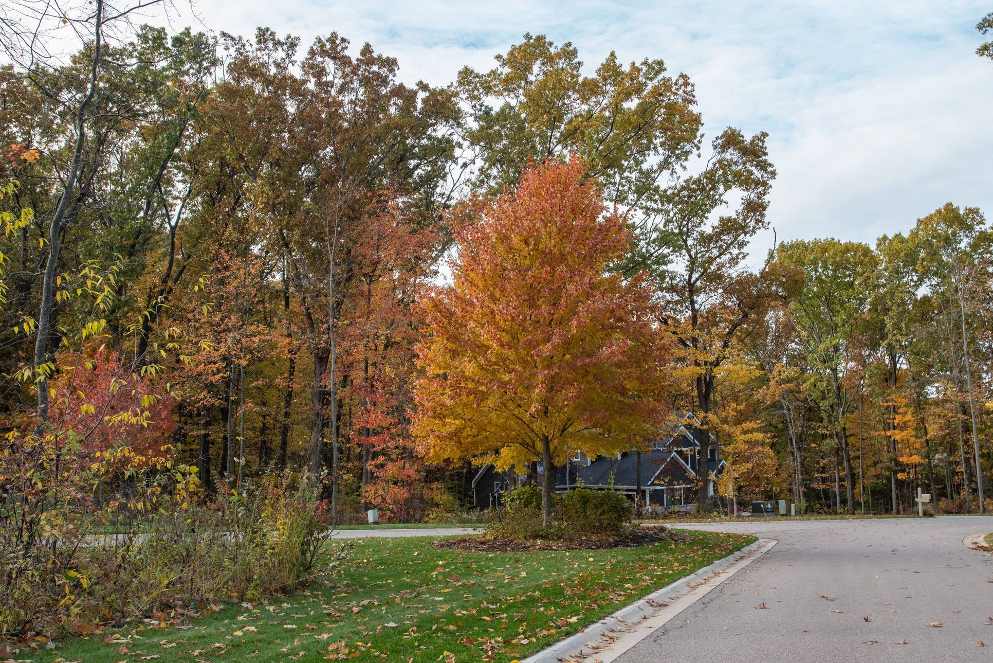 Barrington Shores,49071