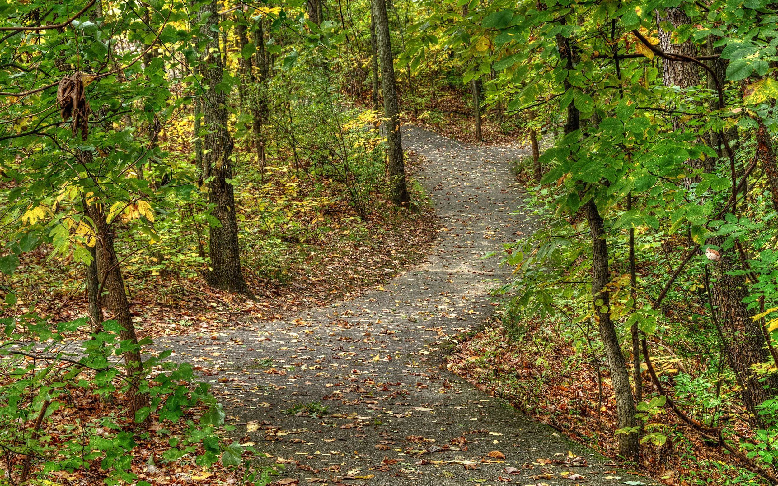 Barrington Shores,49071