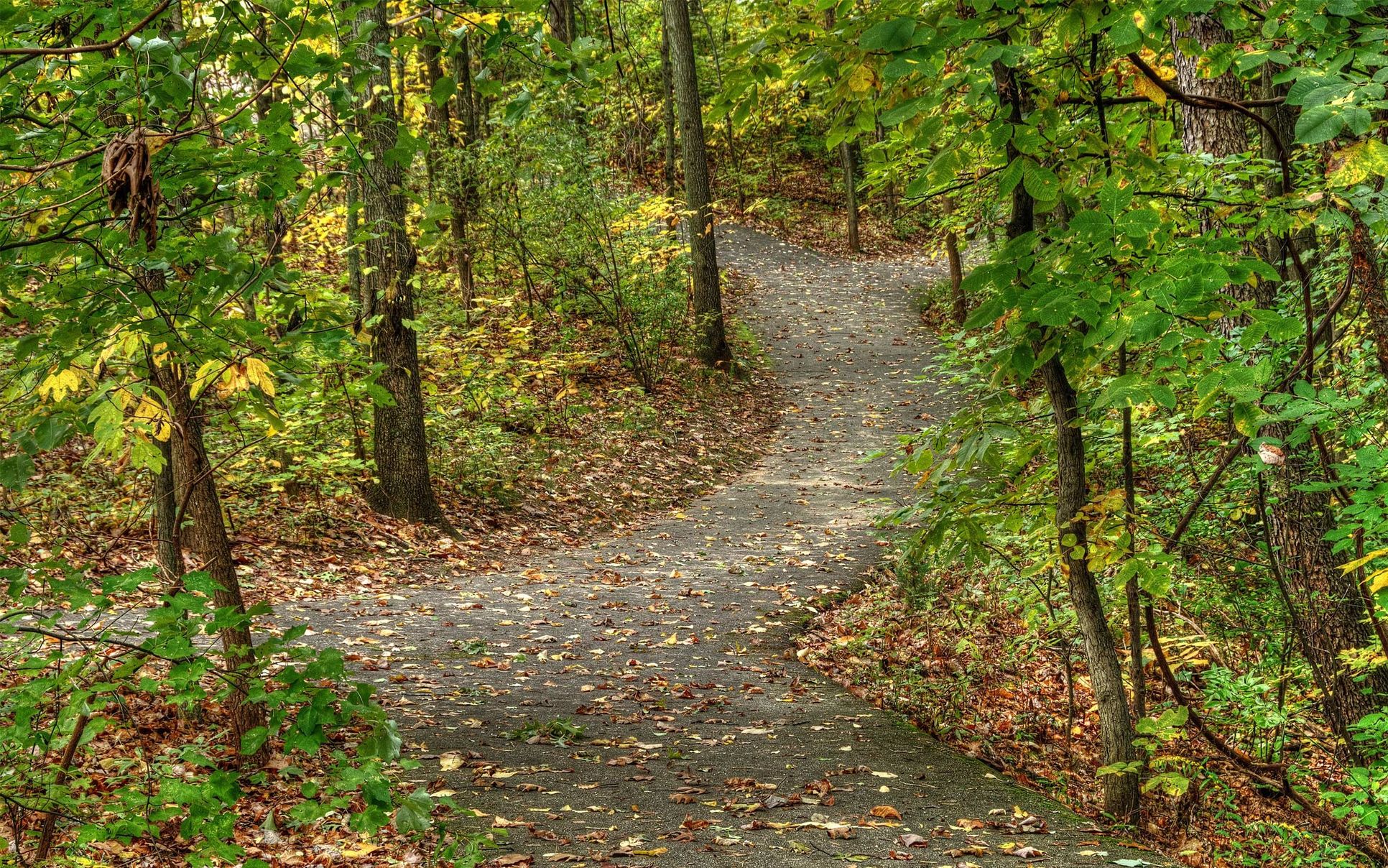 Barrington Shores,49071