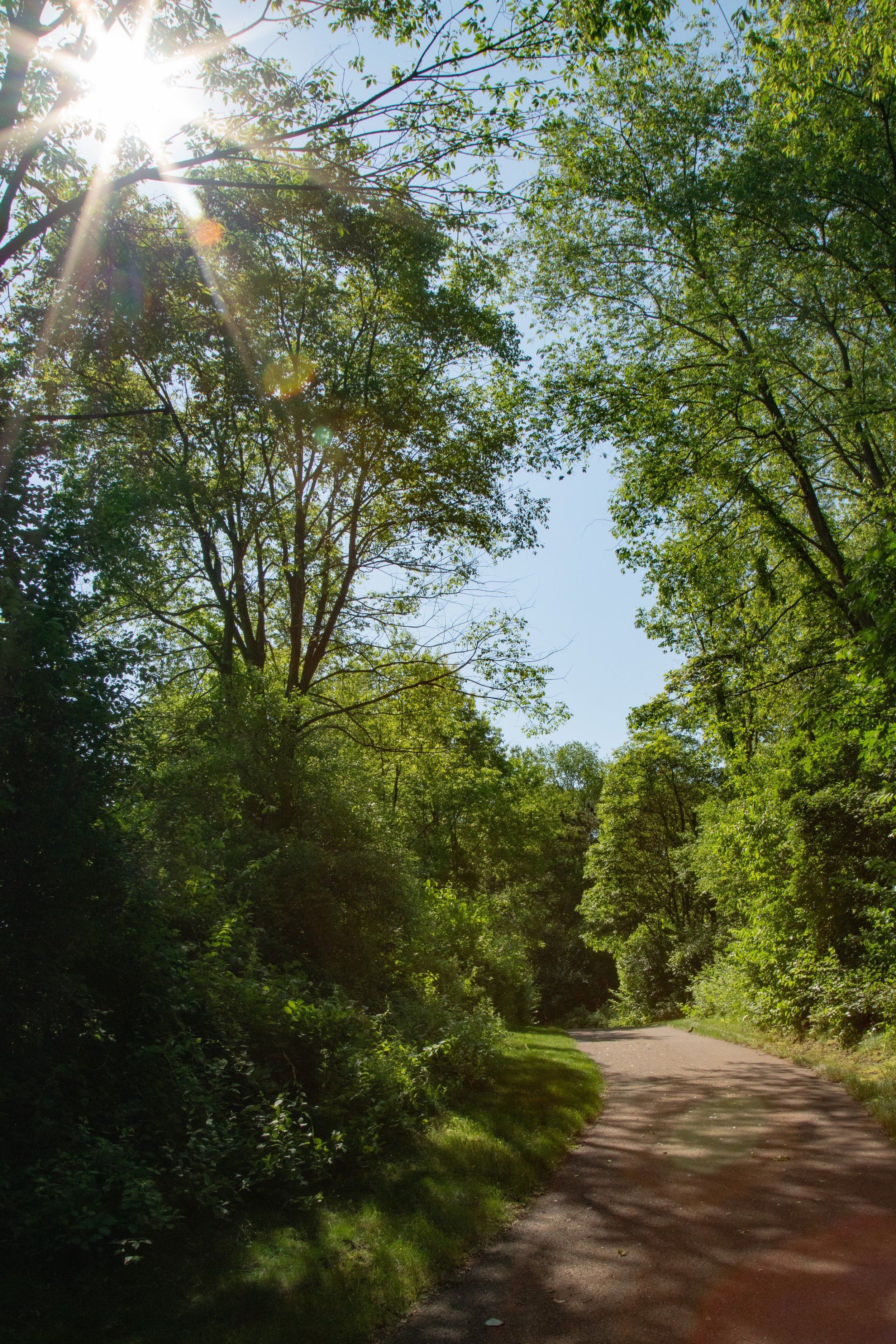 Walden Woods,49009