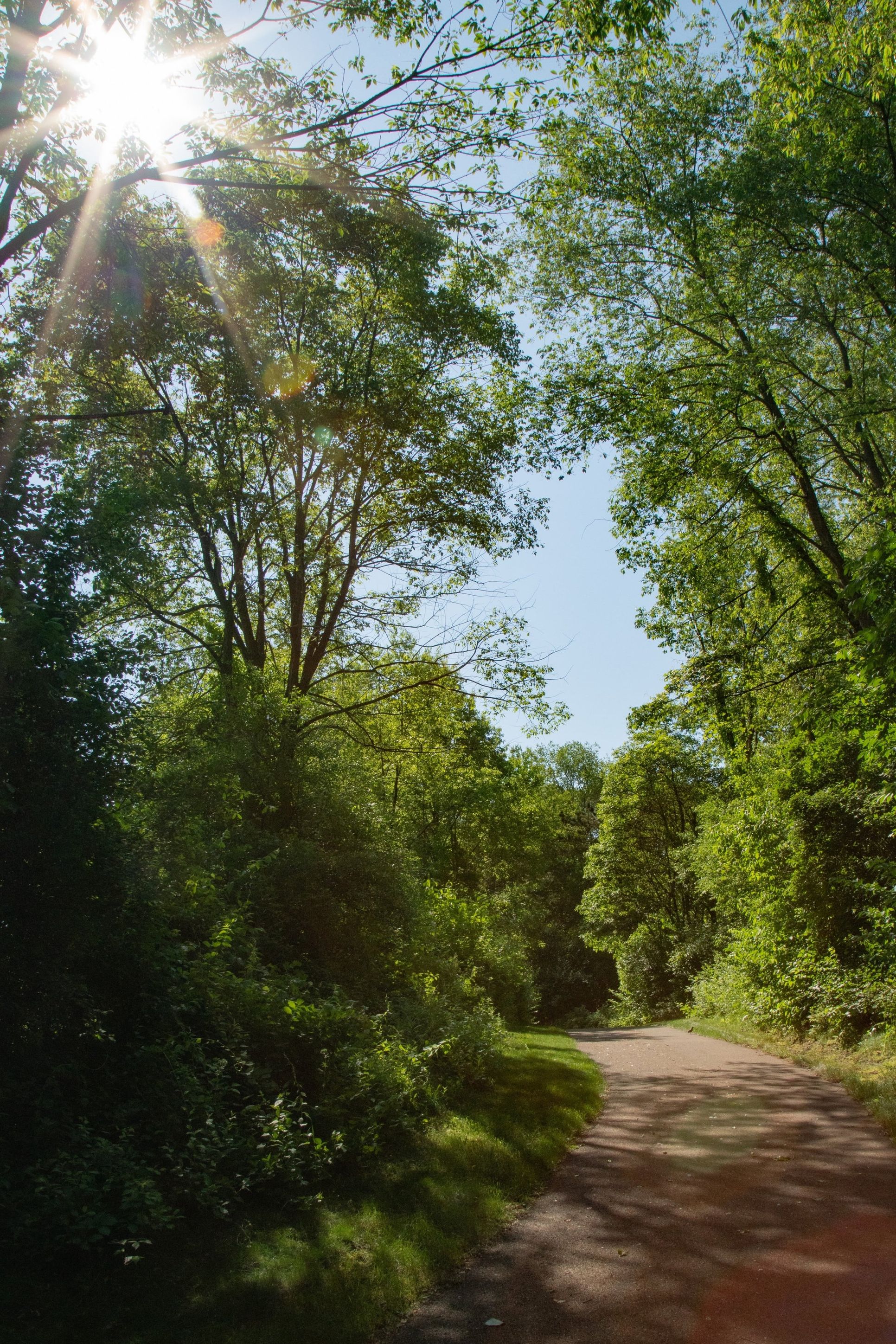 Walden Woods,49009
