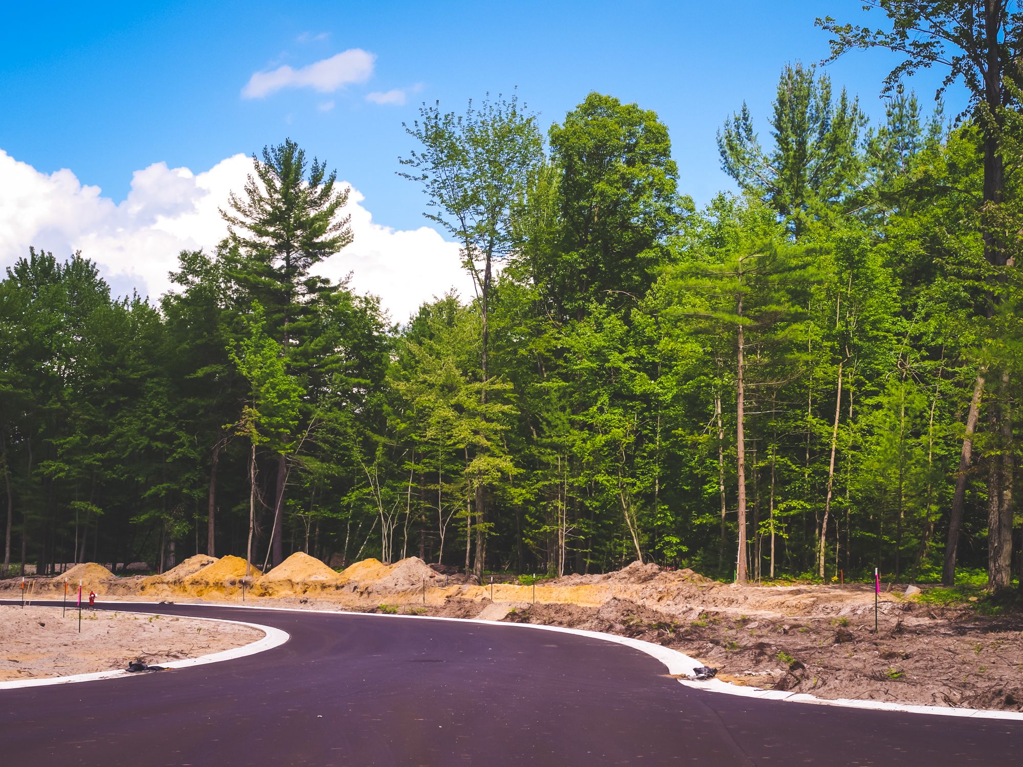 Greystone Woods,48642