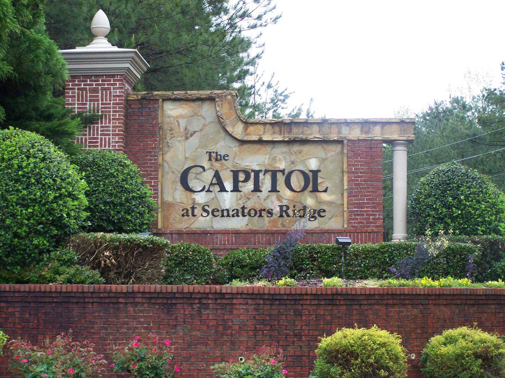 The Capitol at Senators Ridge,30132