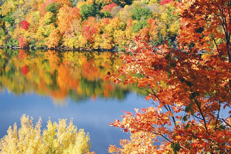 Laurel Landings,15317