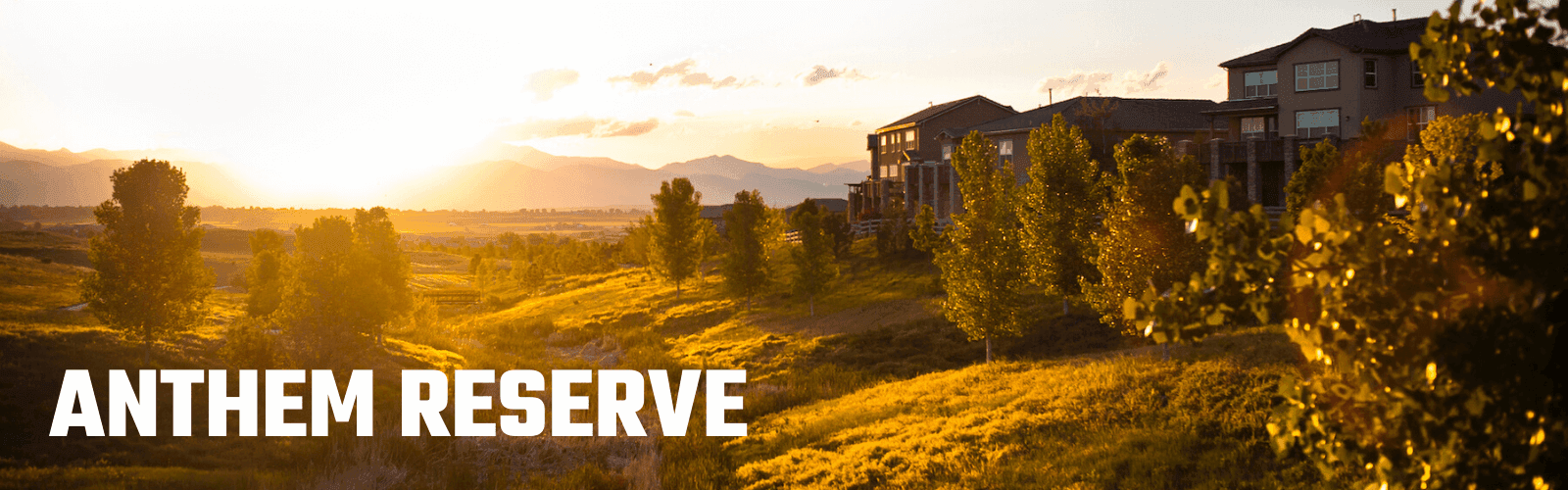 Anthem Reserve,80023