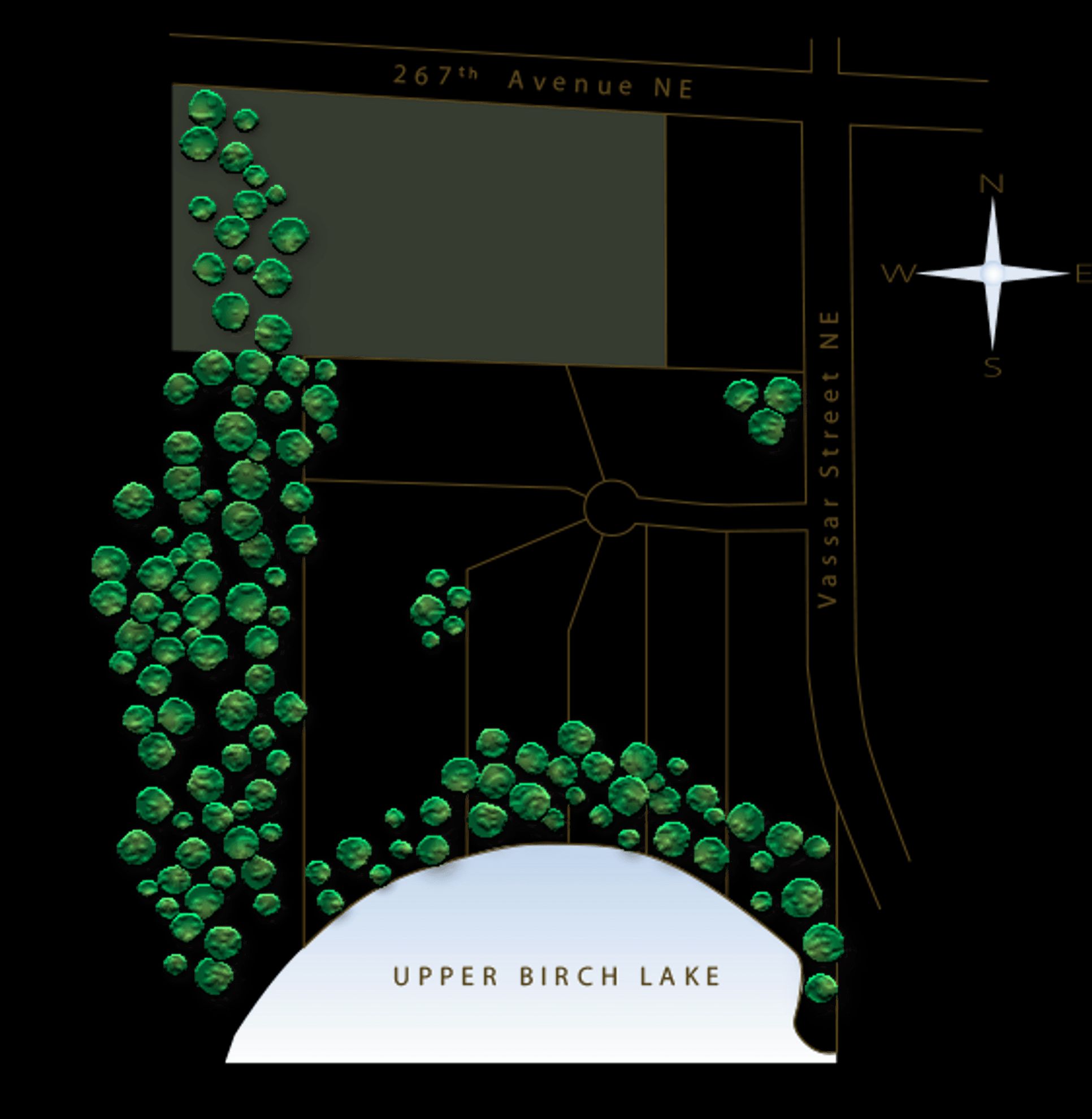 Birch Lake Shores,55079