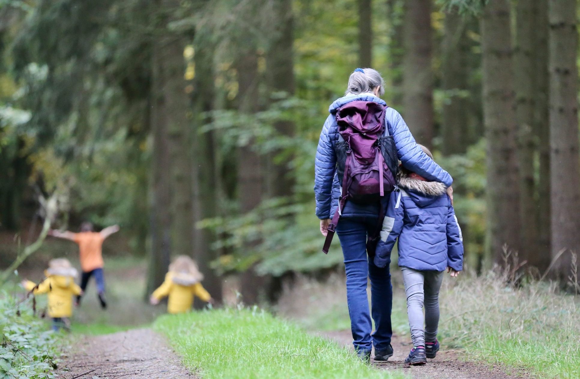 Custom Homes For Sale IN Hartness Greenville SC,29607