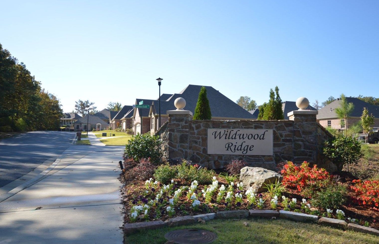 Wildwood Ridge,72223