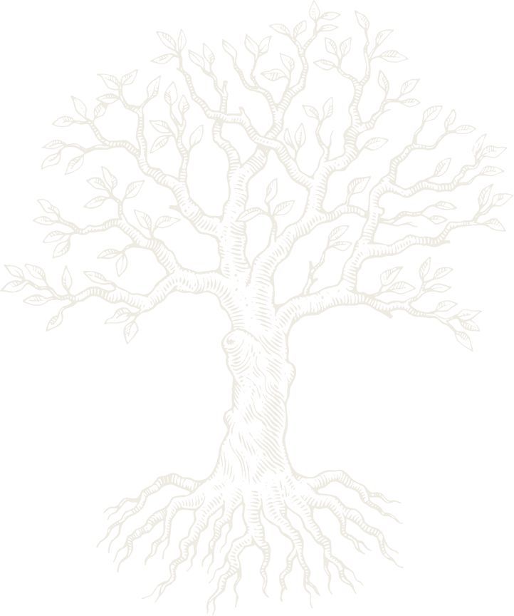 Mitchell & Best,20850