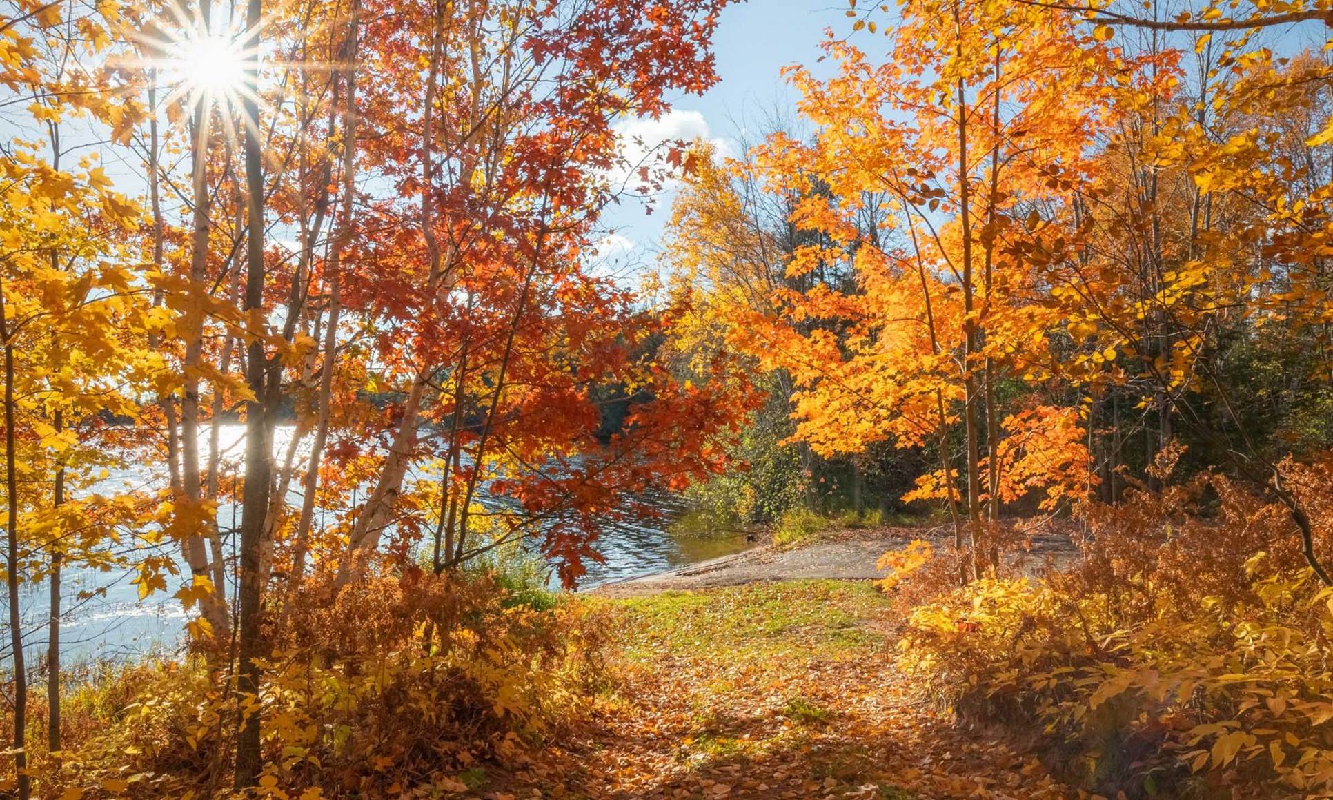 Legacy At Petersen Farms,55304