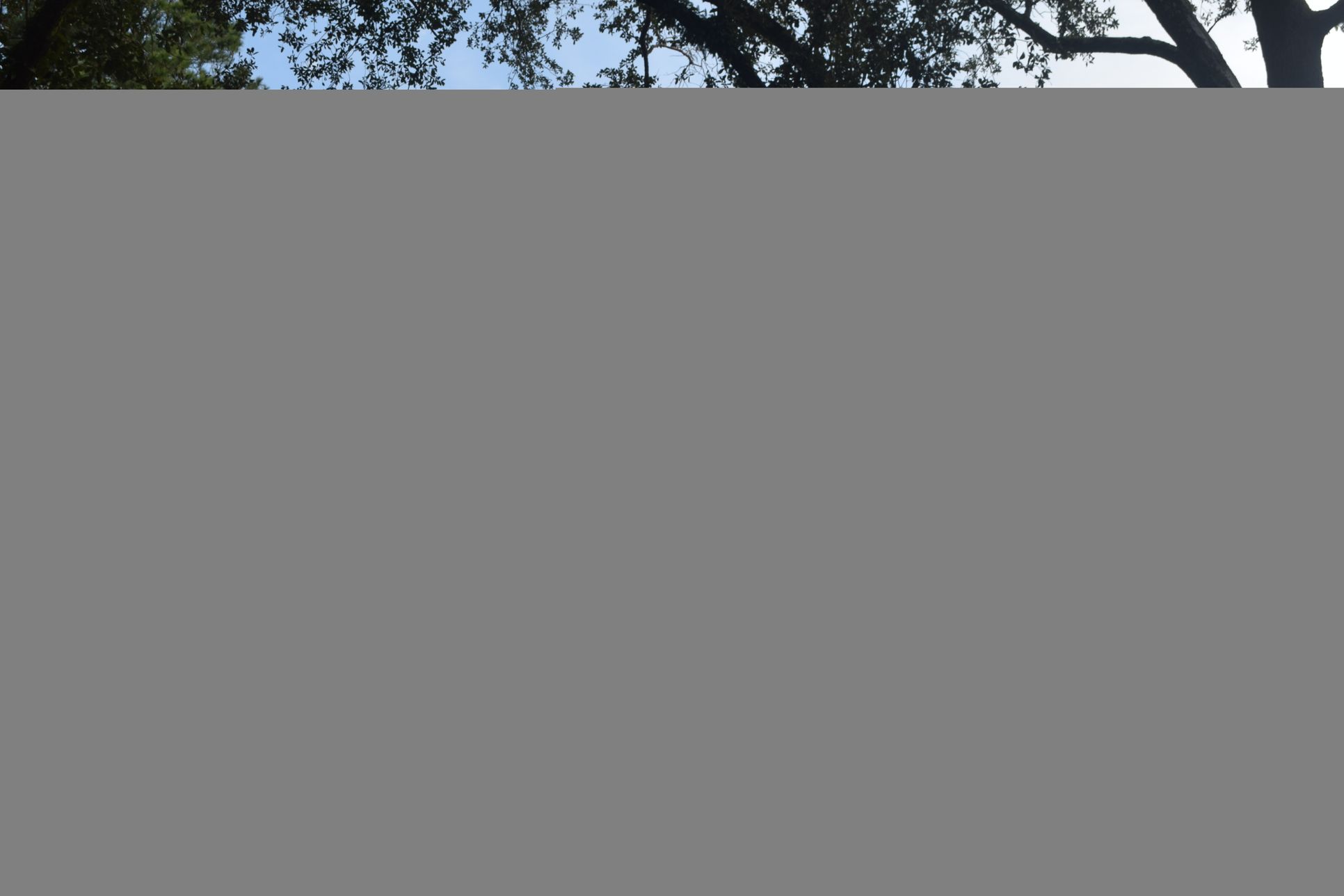 RLS Properties, LLC,70508