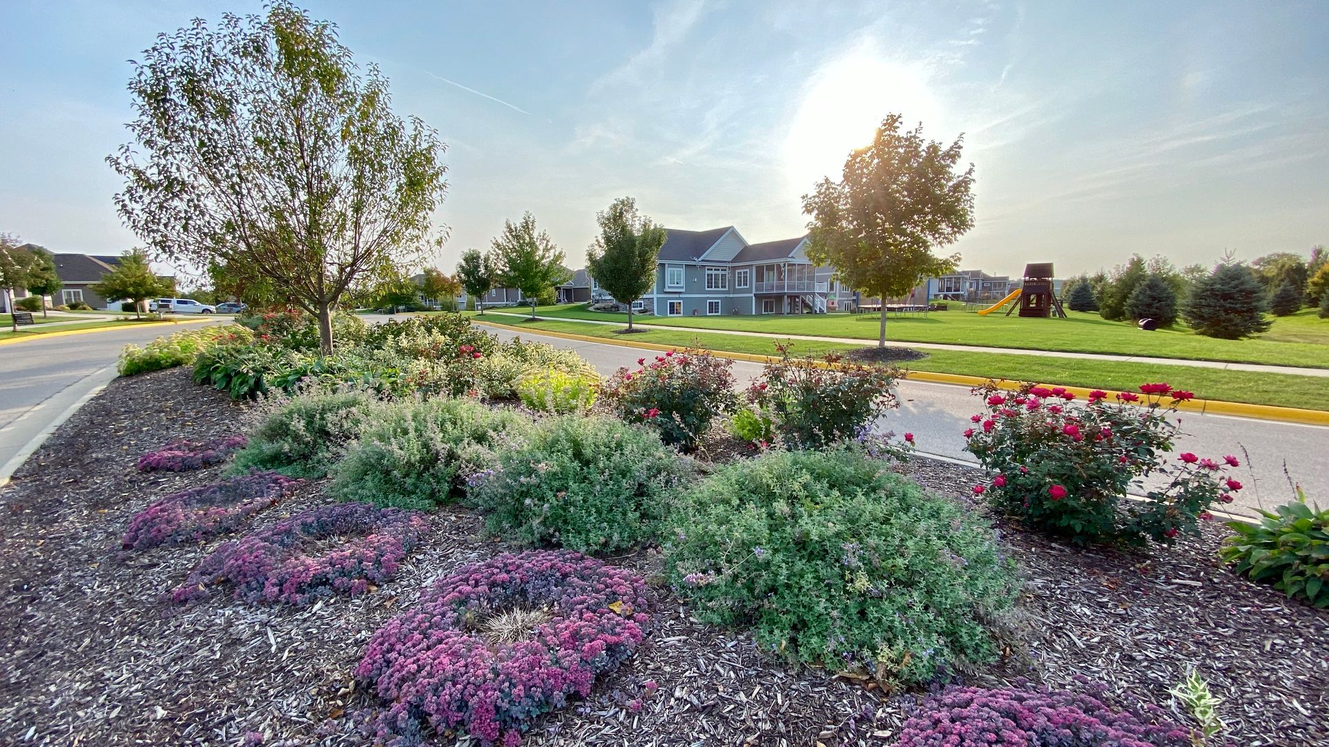 Arboretum Village,53597