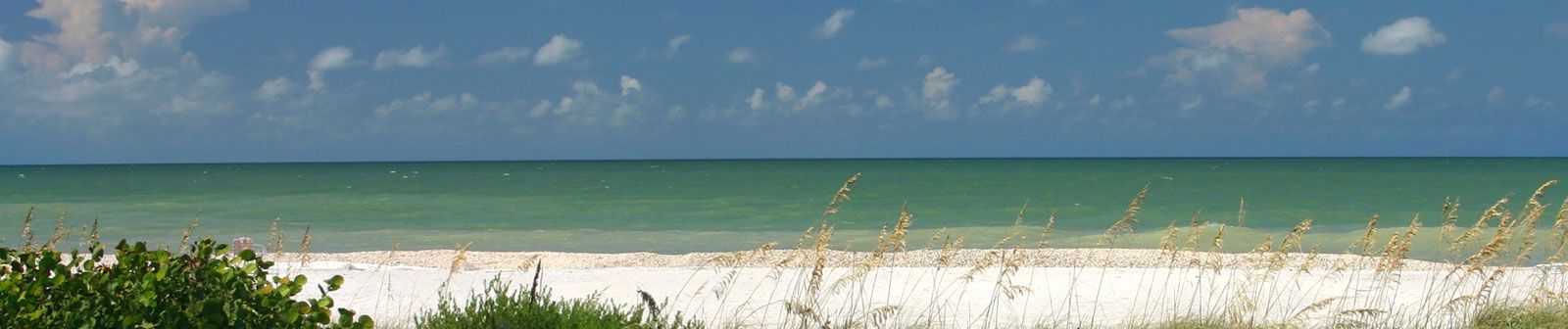 Venetian Pointe,33073