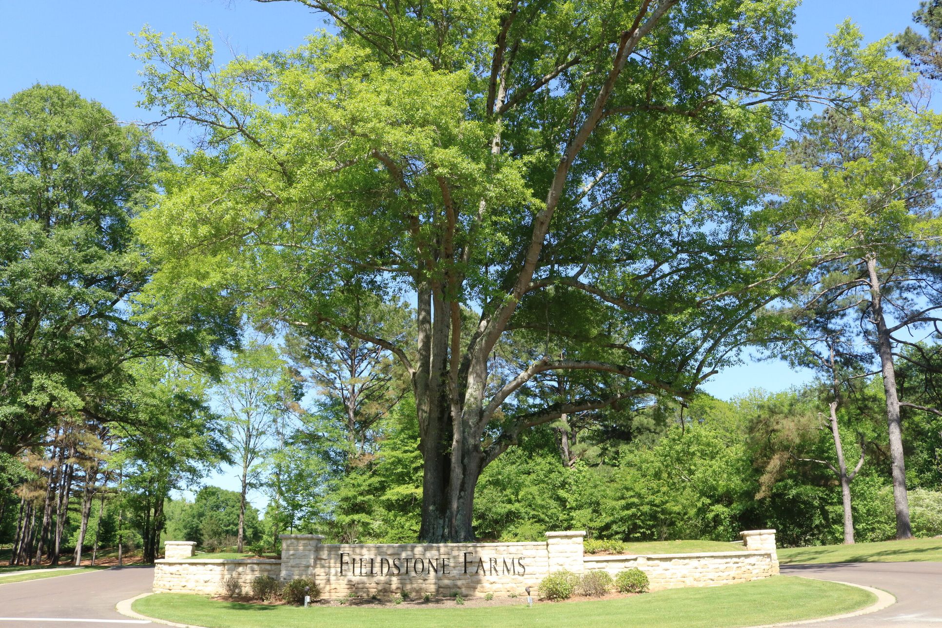 Fieldstone Farms — Lifestyle Homes,38632