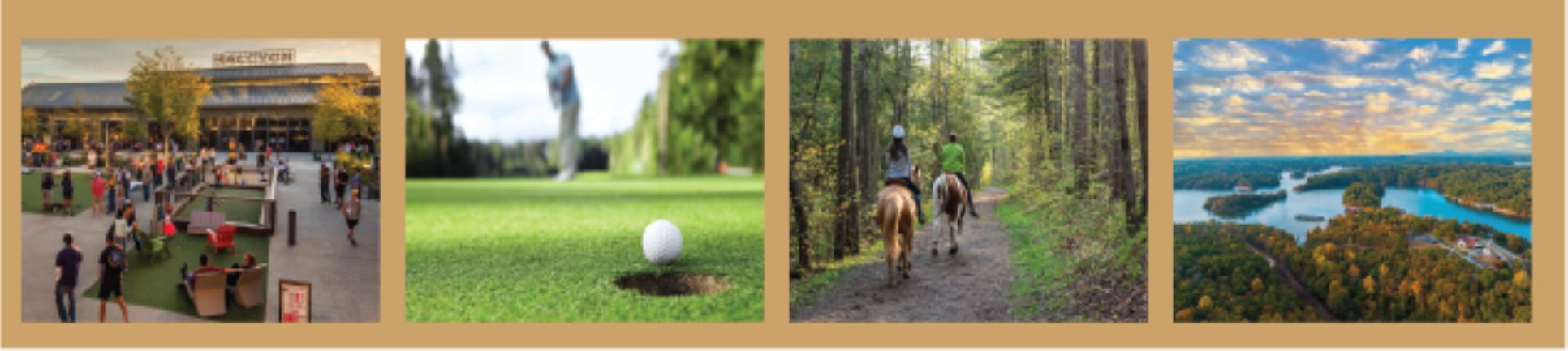 The Reserve At Poole’s Mill,30028